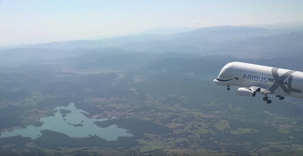 5. Он как будто улыбается 😄