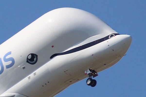 8. Это «лицо»!