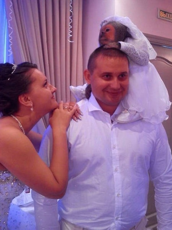 25. Ну просто идеальная семья!