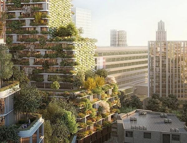 13. В Нидерландах строятся "зеленые" небоскребы, воспользоваться которыми смогут только семьи с низким доходом.