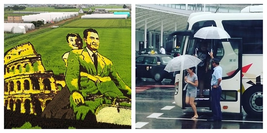 21 доказательство, почему Япония не похожа ни на одну другую страну