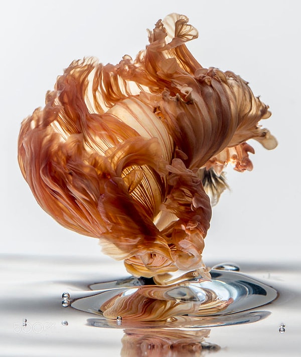 6. Абсолютное совершенство!