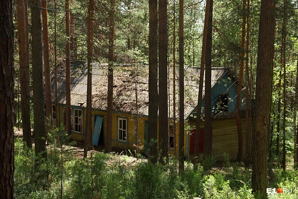 2. Многие домики без стёкол, а крыши их покрыты мхом.