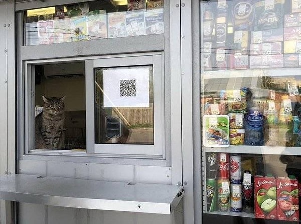 22. Продавцы в России тоже очень своеобразные...