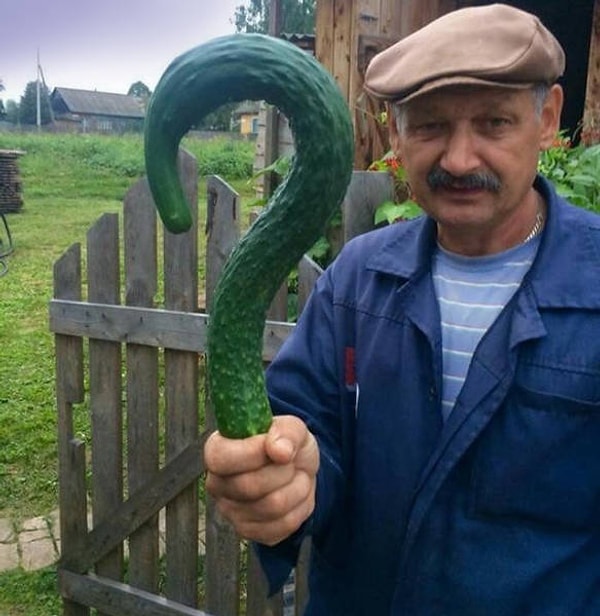 25. В общем, что не так с этой Россией - большой вопрос...