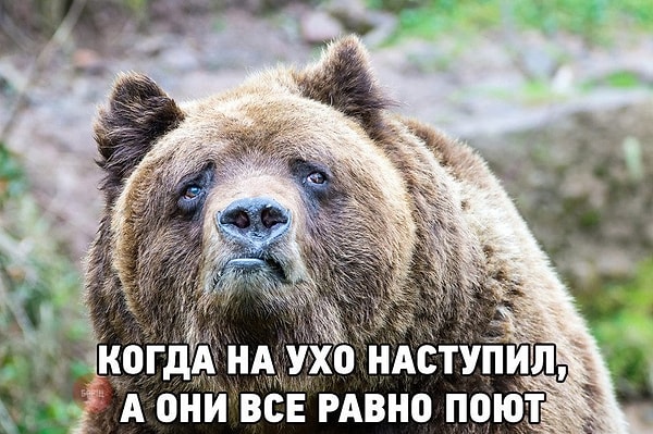 6. Можете ли вы сказать, что у вас есть музыкальный слух?