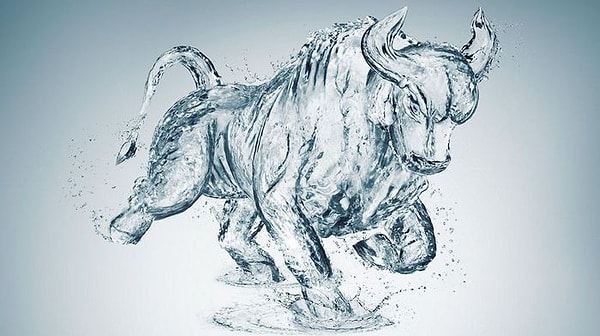 Телец или Козерог