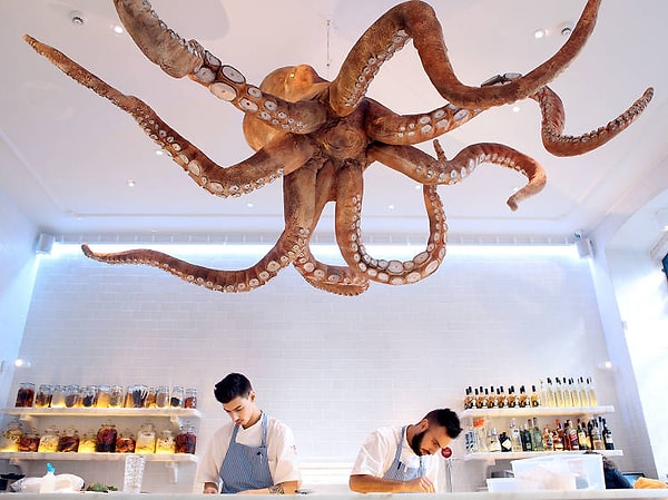 5. Лиссабон, район Princípe Real (Португалия)