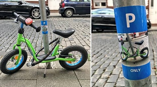 Hep Sinir Bozacak Değil Ya! İşte Dünyanın En Sevimli Park Yasağı