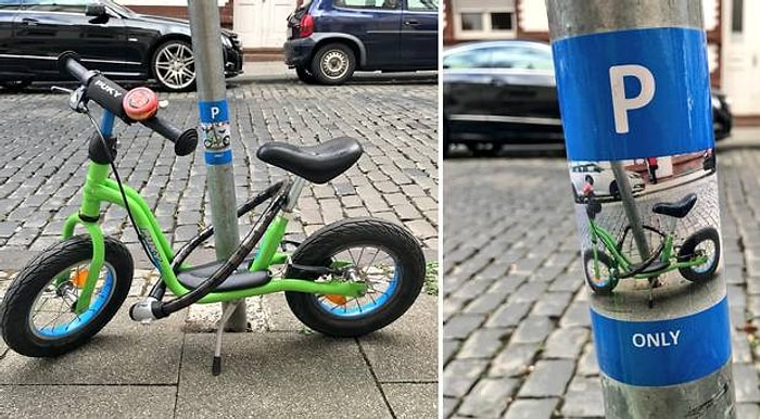 Hep Sinir Bozacak Değil Ya! İşte Dünyanın En Sevimli Park Yasağı