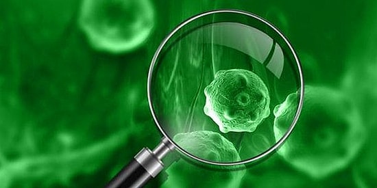 Назови свой знак зодиака, и мы скажем, к какой болезни у тебя есть склонность