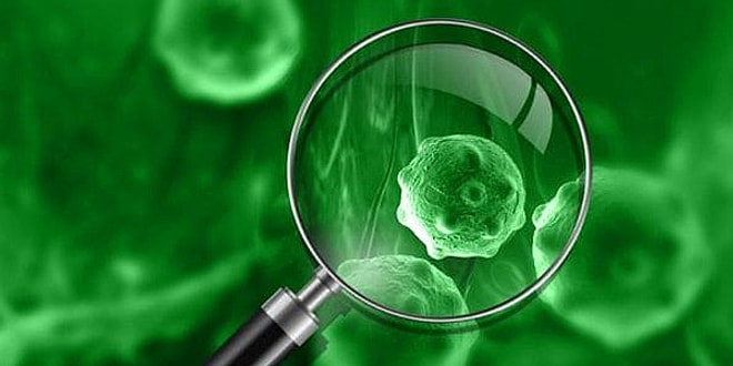 Назови свой знак зодиака, и мы скажем, к какой болезни у тебя есть склонность