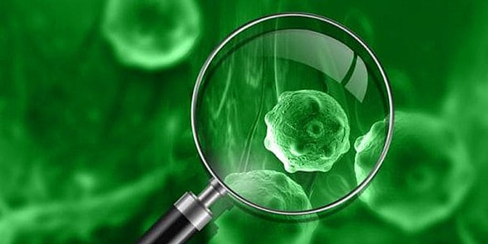 Назови свой знак зодиака, и мы скажем, к какой болезни у тебя есть склонность