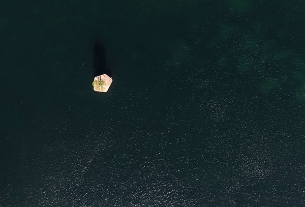 «У моего родного города Сидней есть огромная и прекрасная гавань, но, к сожалению, она заполнена многочисленными особняками и белыми яхтами».