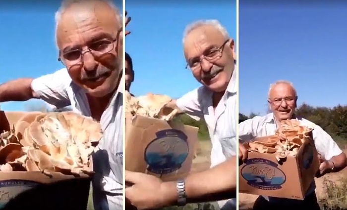 Mantar Toplayan Adamın İzleyene Keyif Veren Tarifsiz Mutluluğu