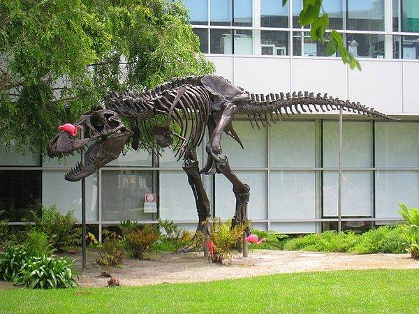 7. Google kampüsünde devasa bir dinozor modeli var.  Amacı da, çalışanlara şirketin dinozorlar gibi yok olmasına izin vermemelerini hatırlatmak.