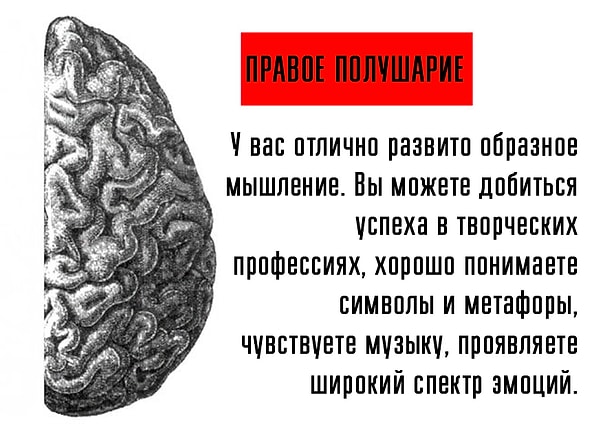 У вас доминирует правое полушарие мозга