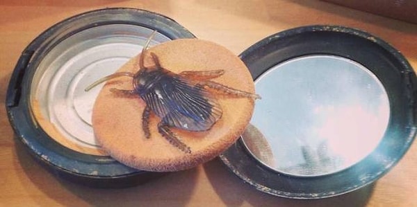 9. "Я встречаюсь с дураком, которому кажется, что пугать меня до чертиков - весело"