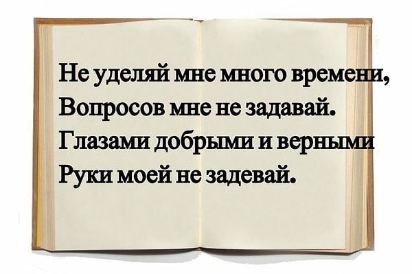 4. Кто написал эти строки?