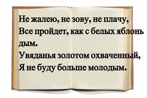 8. Узнали автора?