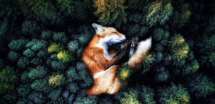 С попкорном: премьеры недели, которые не должен пропустить ни один любитель кино