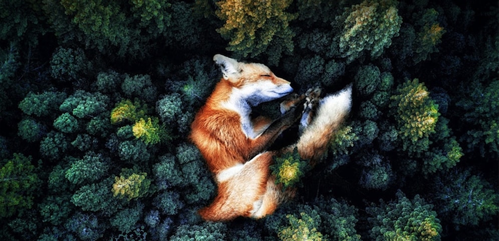 С попкорном: премьеры недели, которые не должен пропустить ни один любитель кино