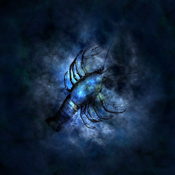 4. Рак - дома