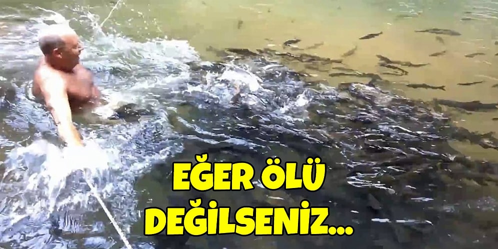 Açlık Durumunda Kendi Türünü Bile Yiyen Piranalarla İlgili Hayrete Düşeceğiniz 13 İlginç Bilgi