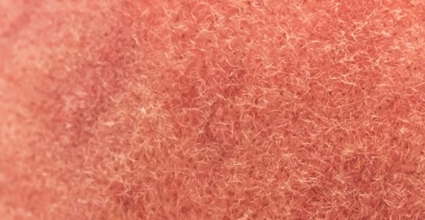 11. Ни за что не догадаетесь!