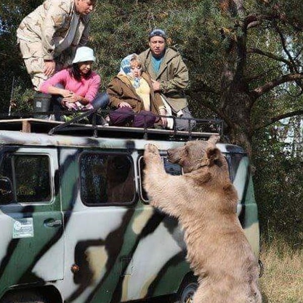 3. А это кадр из телевизионной передачи.