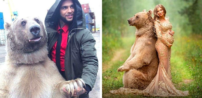 Говорите, медведи в России не ходят по улицам? Встречайте Степана - звезду русского шоу-бизнеса (и не только)