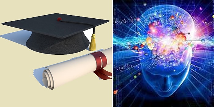 Эмоциональный IQ-тест определит, насколько вы образованны