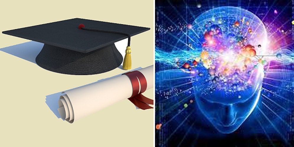 Эмоциональный IQ-тест определит, насколько вы образованны