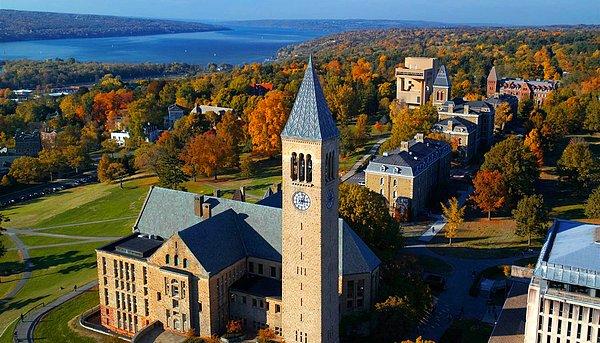 19. Cornell Üniversitesi - Amerika