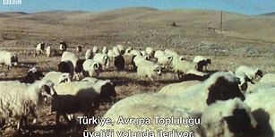 1980'lerde Türk Ekonomisi Belgeseli: 2. Bölüm