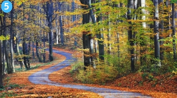 5. Если вы выбрали пятую тропу: