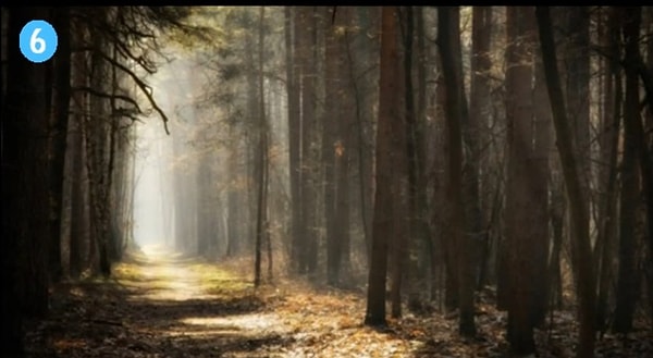 6. Если вы выбрали шестую тропу:
