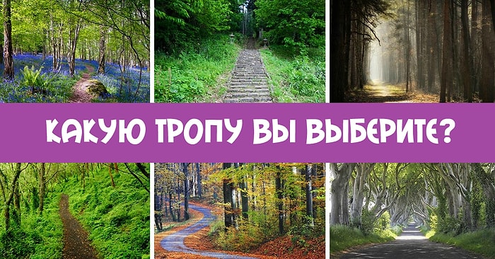 Тест: Ответьте, по какой тропе вы хотели бы пройтись, а мы расскажем о вас кое-что интересное