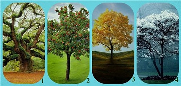 Итак, выбор за вами: