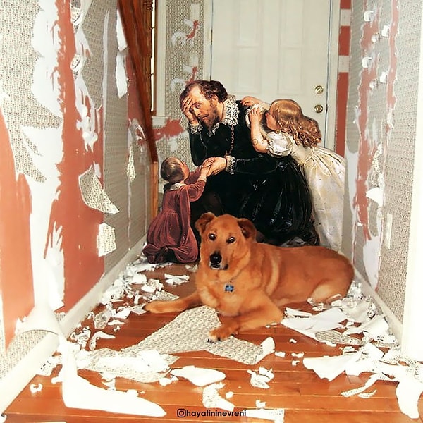 35. "Проблемы с собакой"