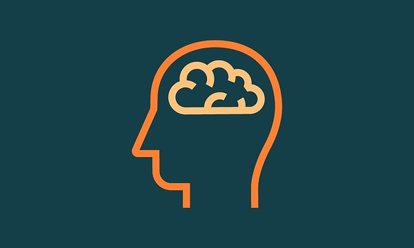 5. Мозговая деятельность продолжается даже тогда, когда мы отдыхаем.