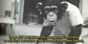 Tam Şu anda Sıradan Hayatlarınıza Bir Gökkuşağı Gibi Renk Getirecek 15 Gerçek