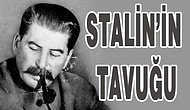 STALIN'İN TAVUĞU