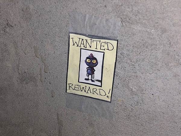 "И в конечном итоге он все-таки был найден!"