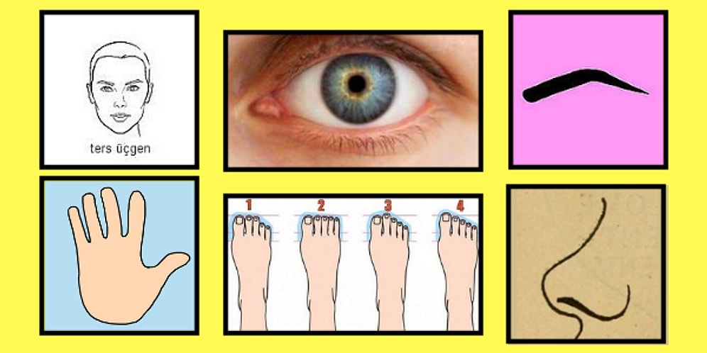 Fiziksel Özelliklerine Göre Hangi Memleketin İnsanısın?