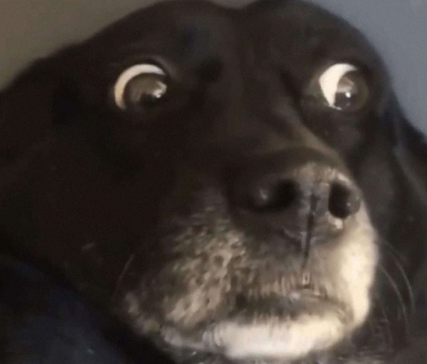 2. "Когда кто-то звонит тебе... вместо того чтобы просто отправить сообщение!"