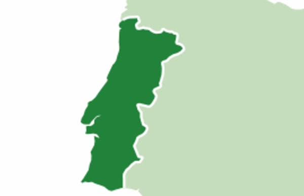 13. Вы знаете, что делать: