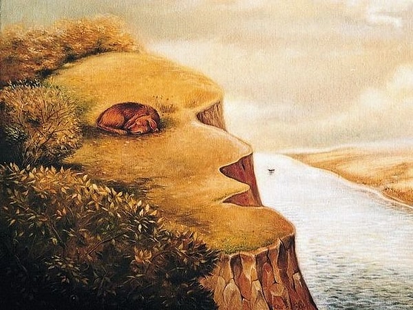 9. Что увидели здесь?