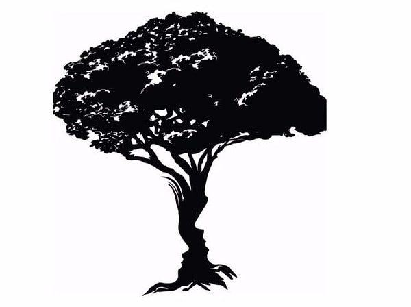 13. И последнее изображение.