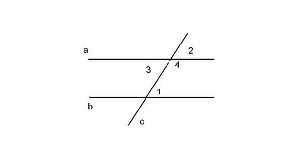 5. Чему равна сумма односторонних углов при пересечении двух параллельных прямых секущей?